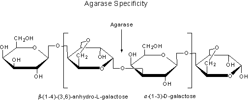 Glycobiology - Carbohydrate Enzymes and Proteins Agarase Specificity