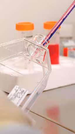 细胞的无菌处理 细胞的无菌处理