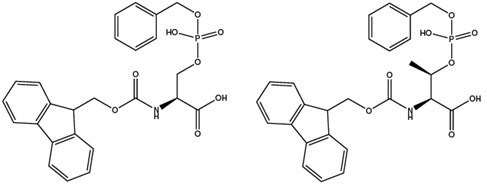 step-wise-synthesis-of-phosphoserine-and-threonine Step-wise synthesis of phosphoserine and threonine