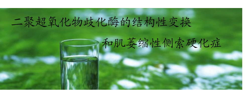 二聚超氧化物歧化酶的结构性变换和肌萎缩性侧索硬化症