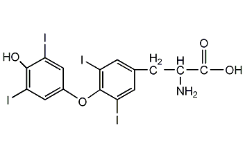 L-Thyroxine