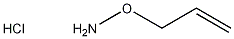 O-Allylhydroxylamine Hydrochloride