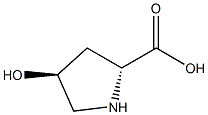 trans-4-Hydroxy-D-proline