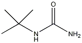 T-butylurea