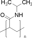 Poly(N-isopropylacrylamide)